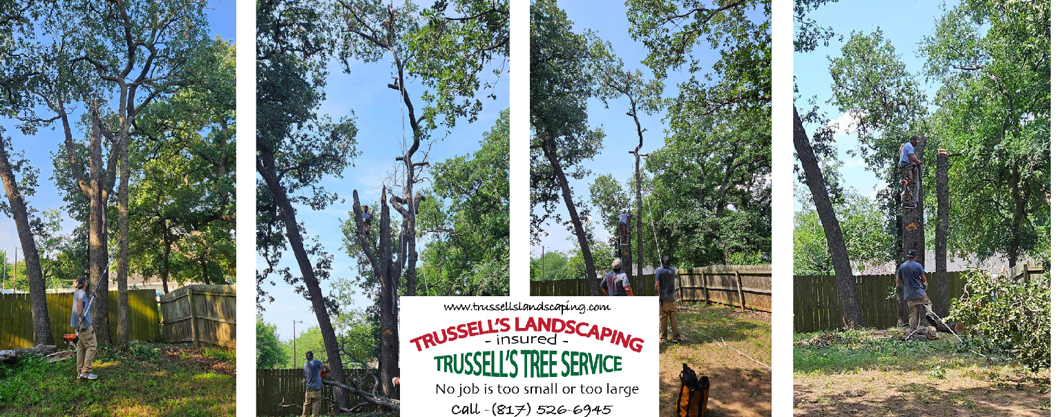  Fire Wood Delivery / Trussell's Landscaping & Trussell's Tree Service