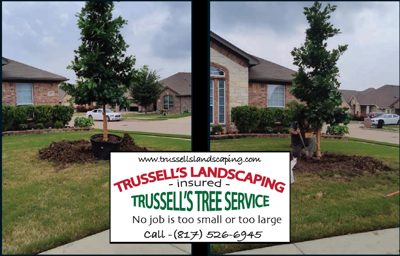 Trussell's Tree Service - Call 817-526-6945
