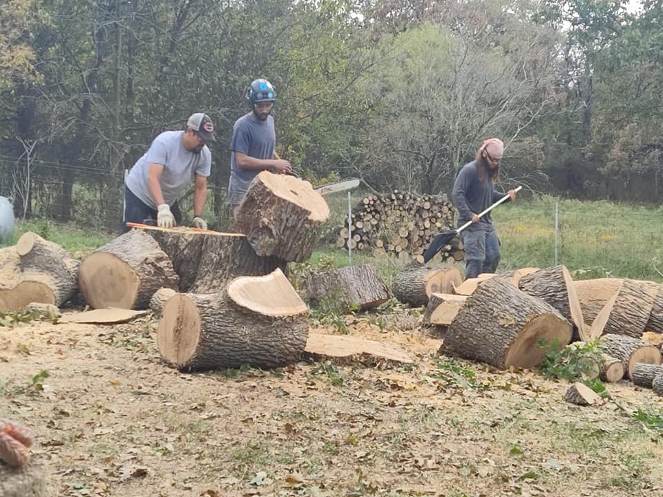 A group of men cutting down tree stumps